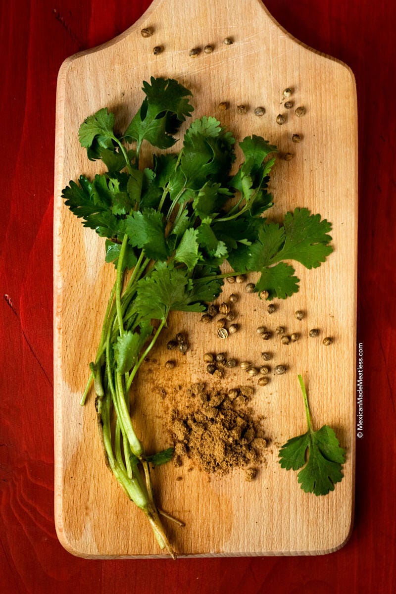 A cutting board with fresh cilantro, cilantro seeds and ground cilantro powder.