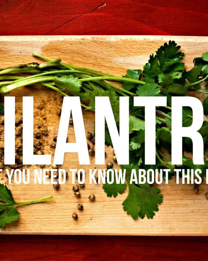 24 Cilantro Facts You Need To Know | #cilantro #coriander #foodinfo #foodfacts