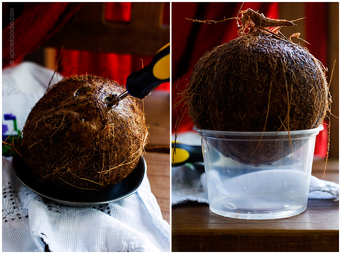 Mexican Coconut  | #mexico #fruit #coconut #maturecoconut