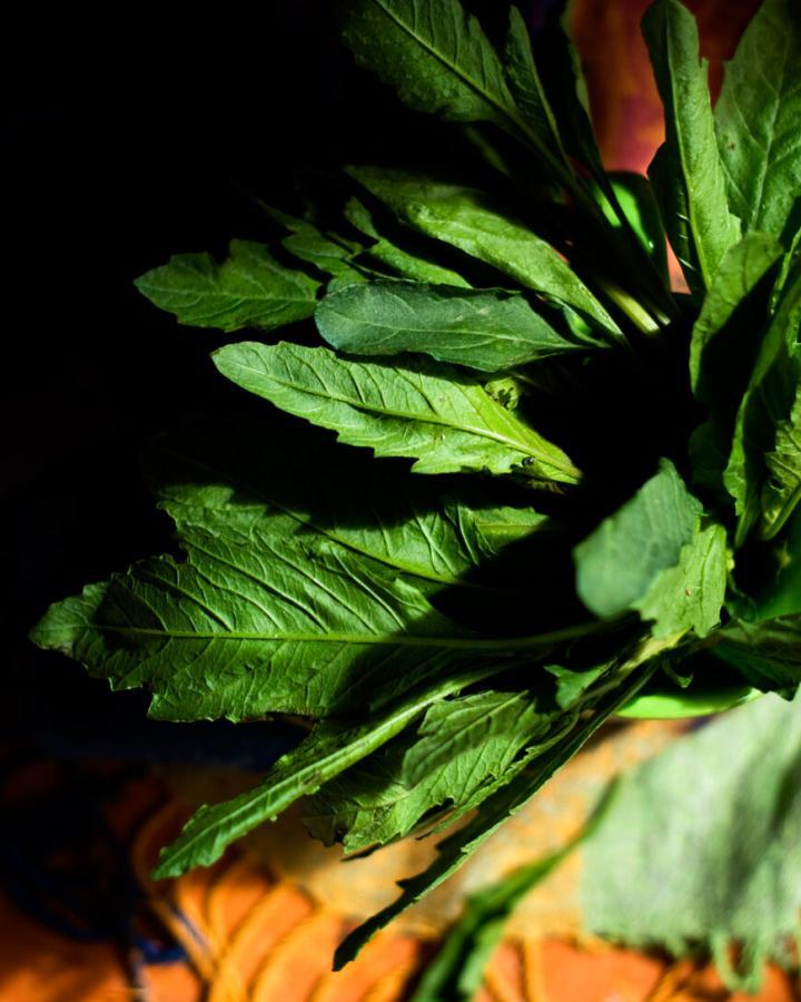 Epazote Leaves and Recipe Ideas by @SpicieFoodie | #MexicanFood #epazote #herbs