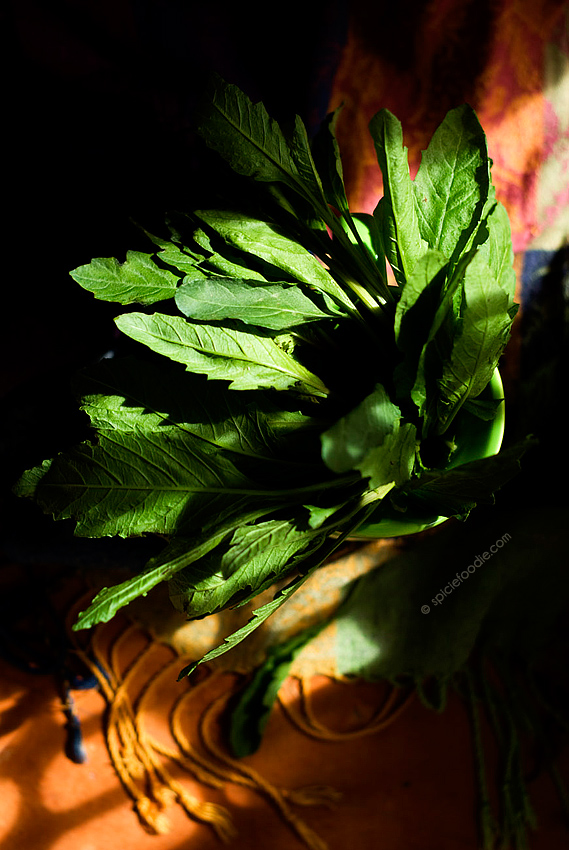 Epazote Leaves and Recipe Ideas | #MexicanFood #epazote #herbs