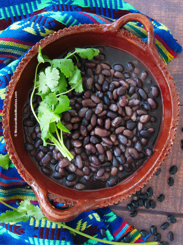 Black Beans Vs Pinto Beans 