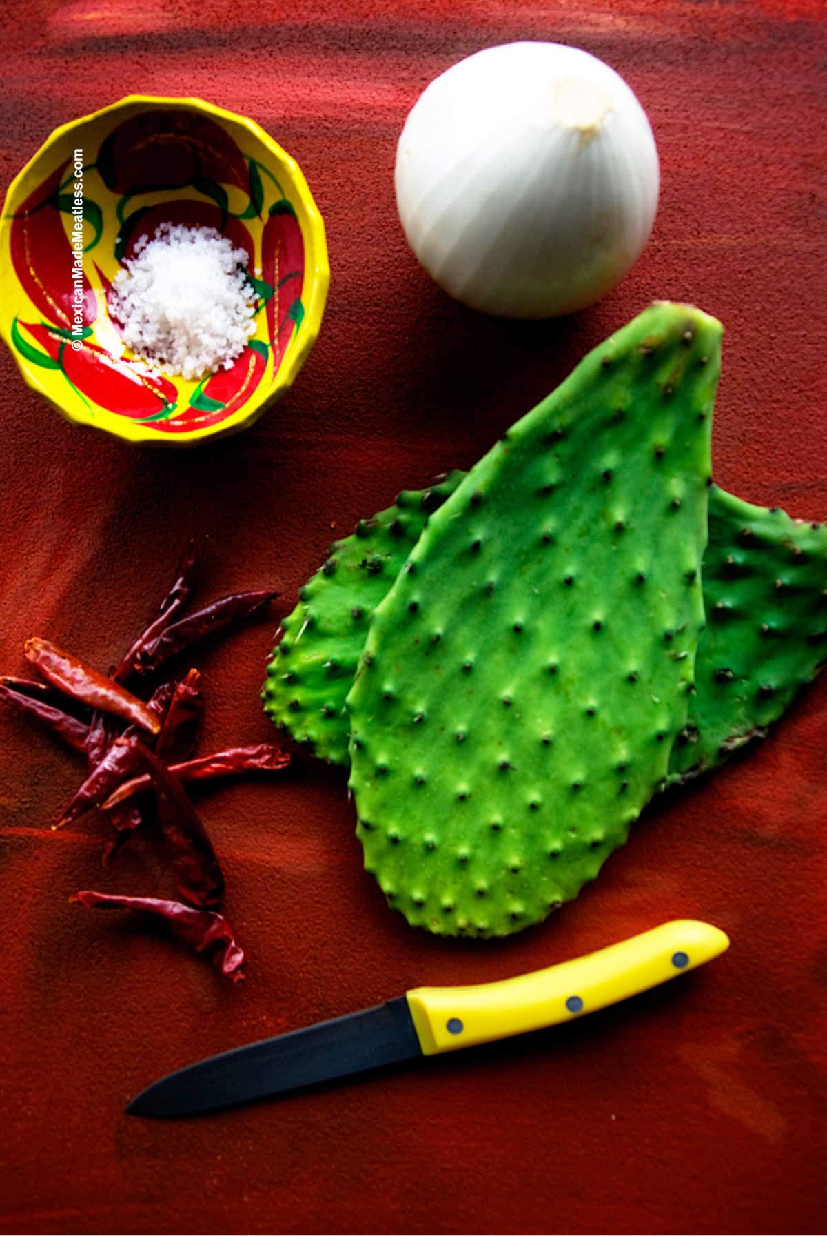 Two nopales paddles on a red table with a white onion, red chilies, and salt.