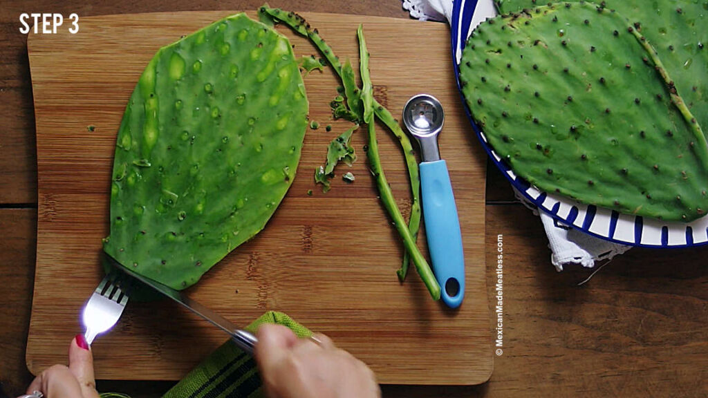 Removing spines from cactus paddles nopales.