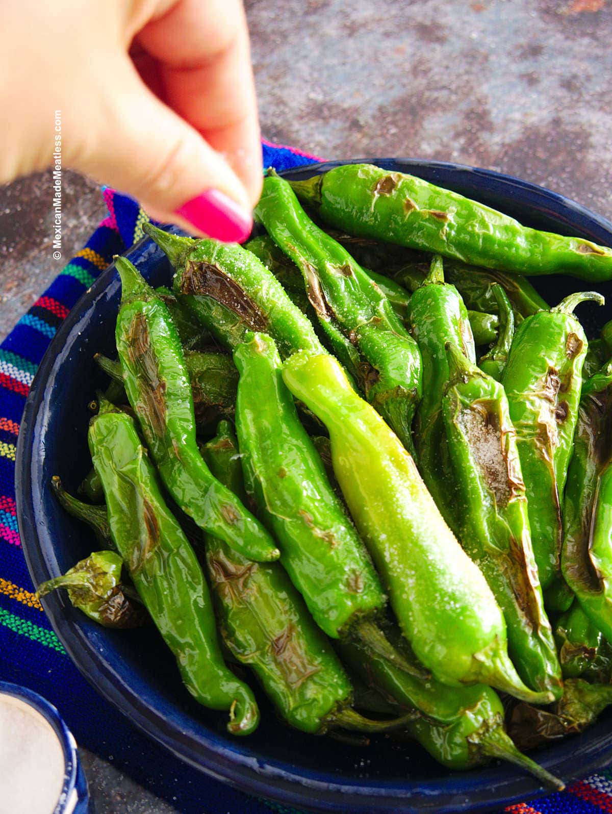 Easy Pan Roasted Shishito Peppers Recipe | Mexican Made Meatless™