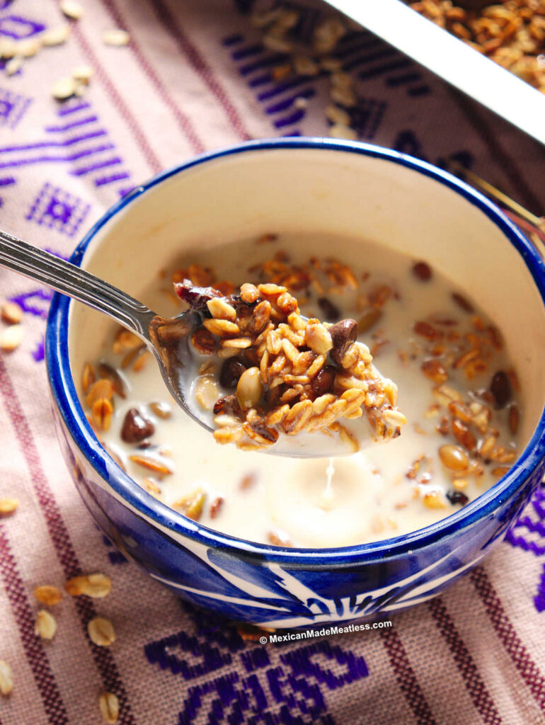 A blue and white bowl filled with chocolate pepita granola and soy milk. 
