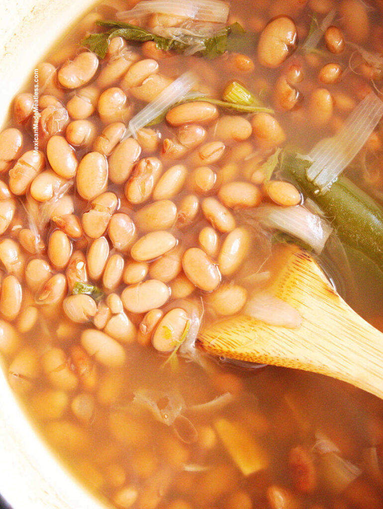 A close up view of a pot of cooked pinto beans.