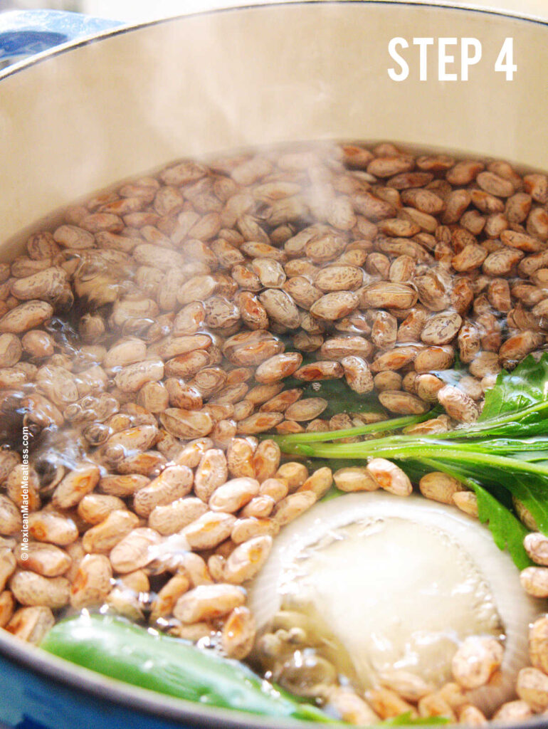 A pot full of pinto beans, onion and herbs boiling on the stove. 