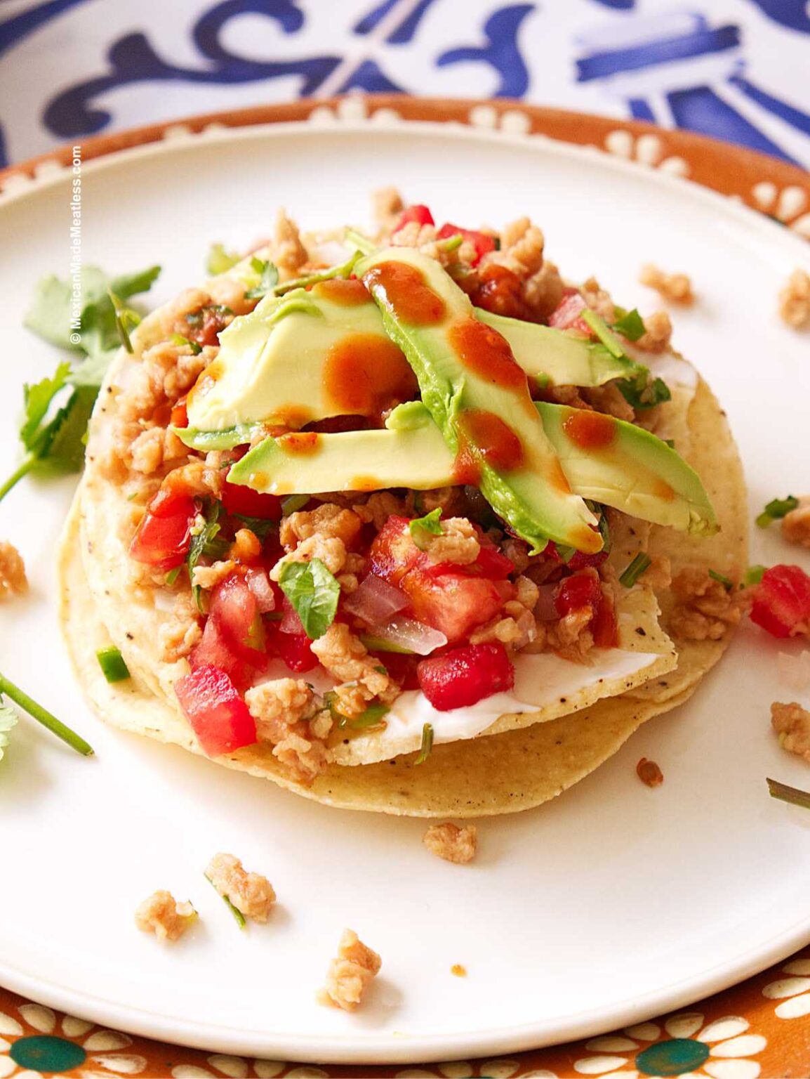 Best Ceviche De Soya | Mexican Made Meatless™