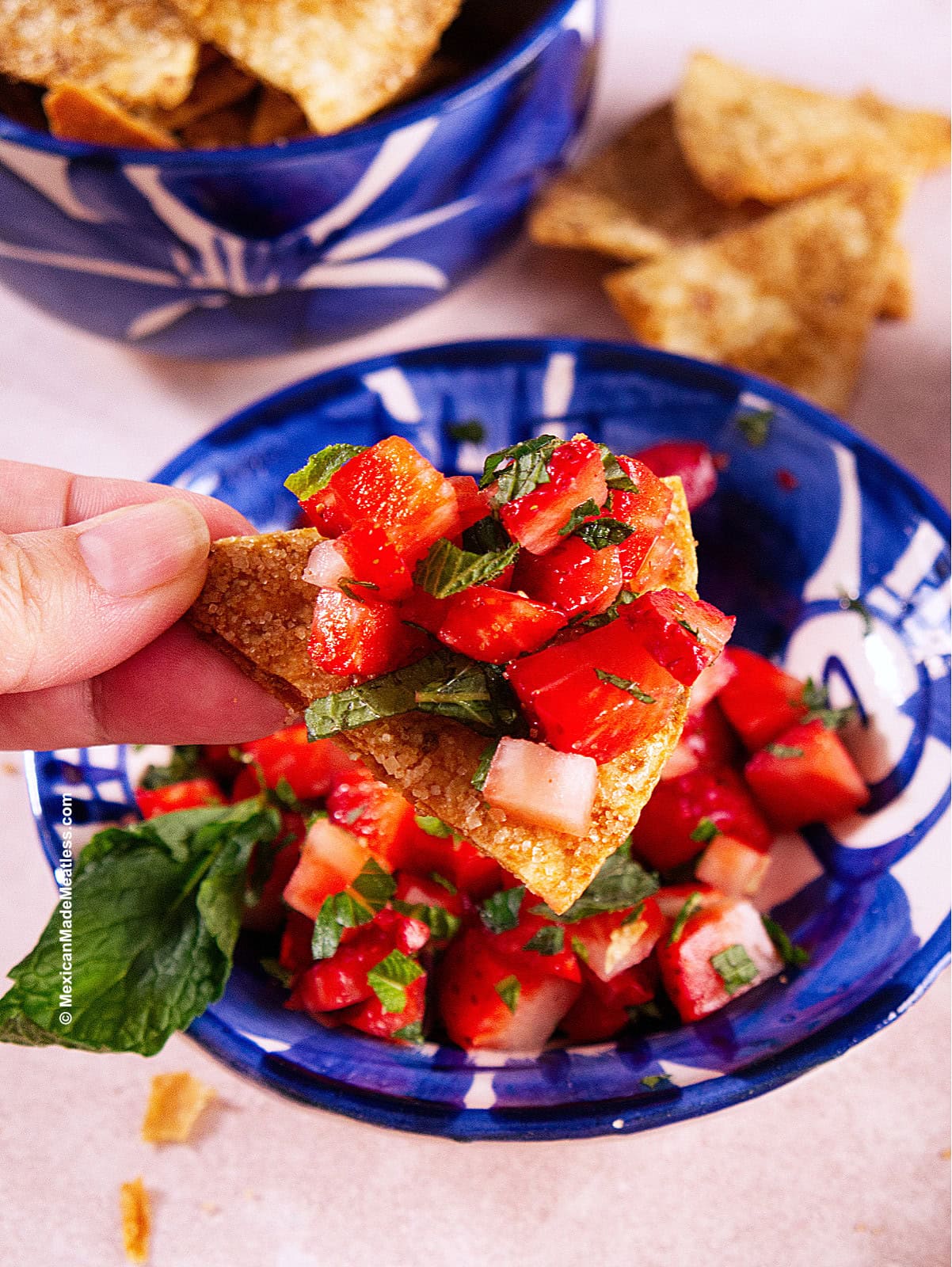 A hand holds a cinnamon sugar tortilla chip topped with strawberry mint salsa. In the background, a bowl of the same salsa and chips are visible, along with a whole strawberry.